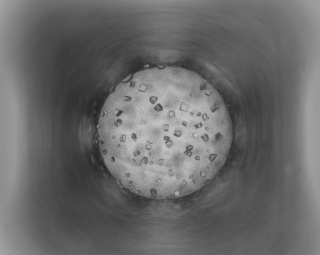 X0000111370866200907311031