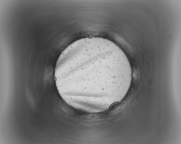 X0000111370867200907311031