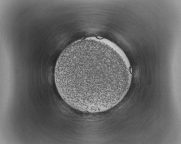 X0000111370868200907311031