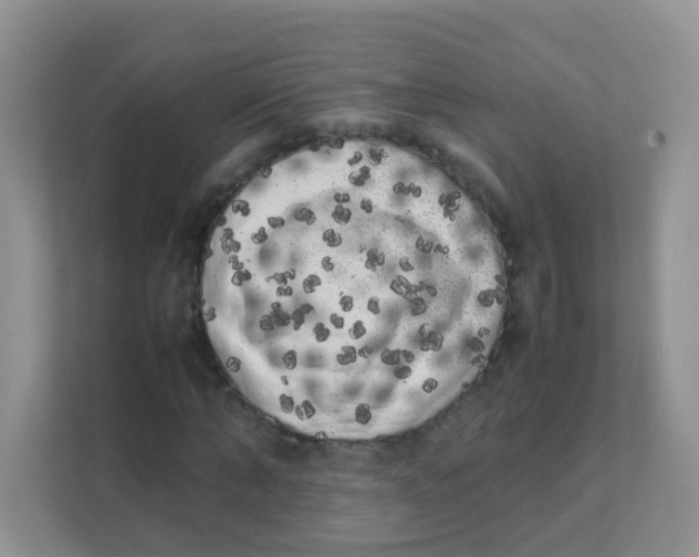 X0000111370870200907311031