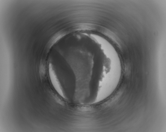 X0000111370874200907311031