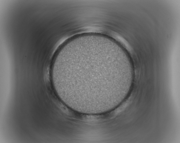 X0000111370875200907311031