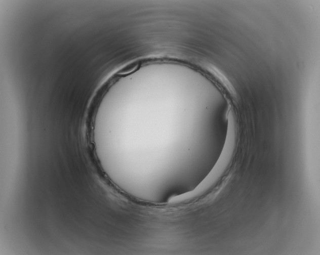 X0000111370876200907311031