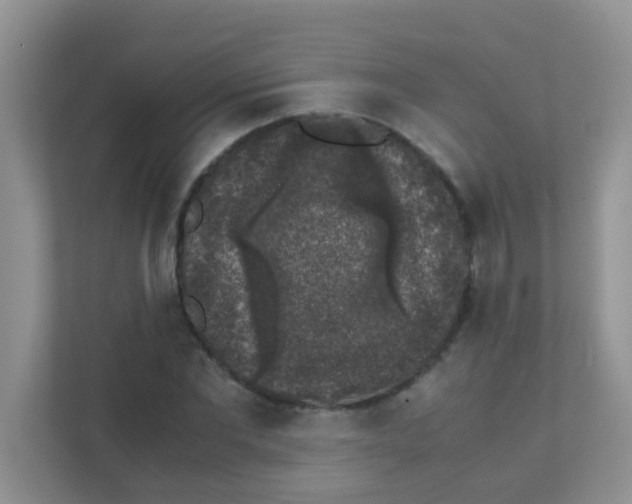 X0000111370877200907311031