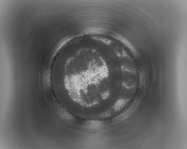 X0000111370878200907311031