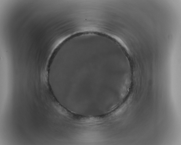 X0000111370879200907311031