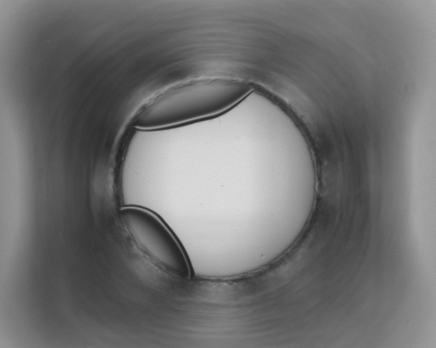 X0000111370880200907311031