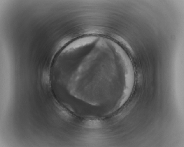 X0000111370882200907311031