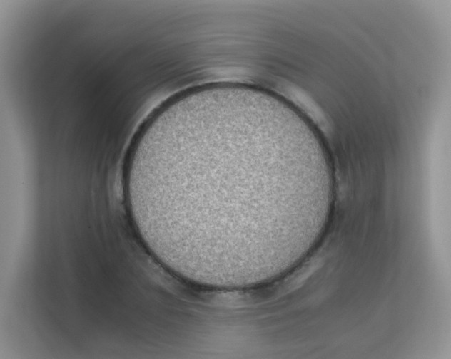 X0000111370883200907311031