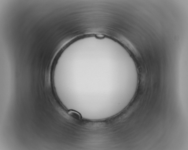 X0000111370884200907311031