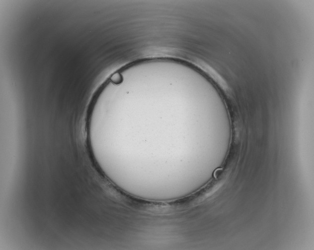 X0000111370885200907311031