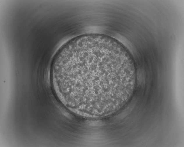 X0000111370886200907311031