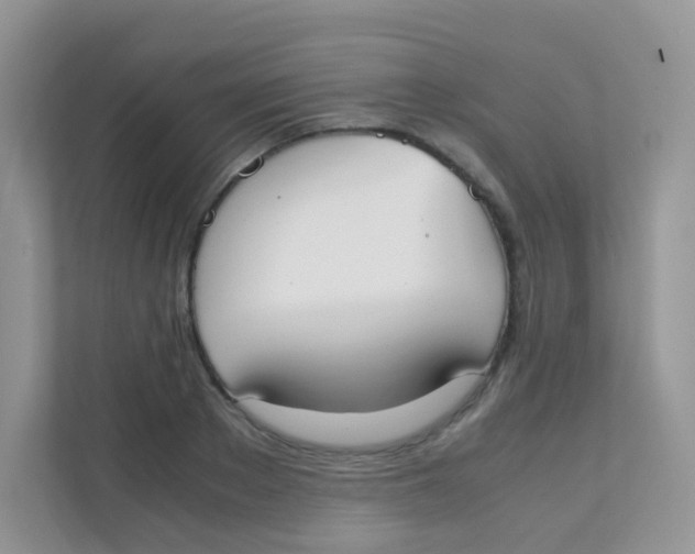 X0000111370889200907311031