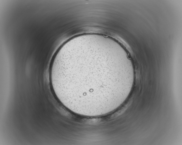 X0000111370891200907311031