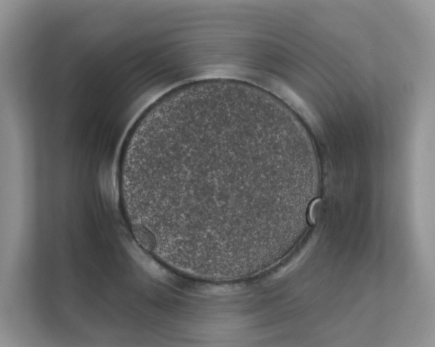 X0000111370892200907311031