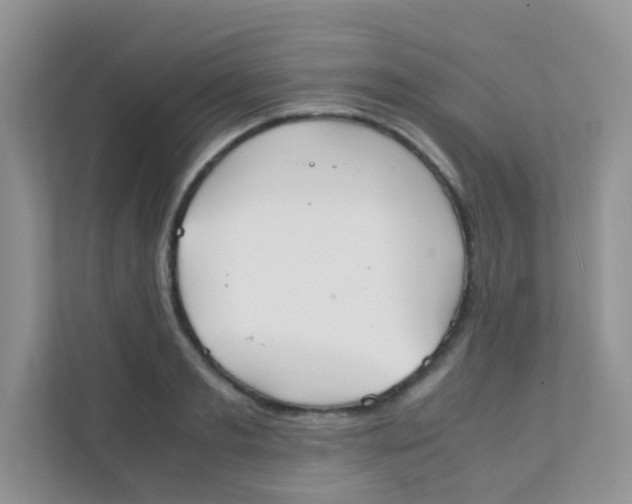 X0000111370893200907311031