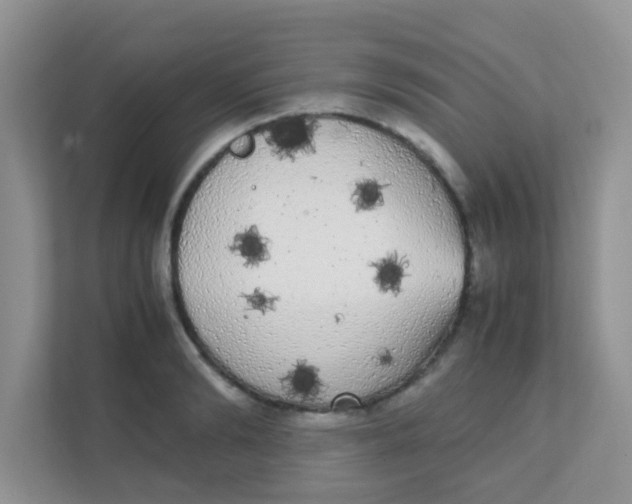 X0000111370894200907311031