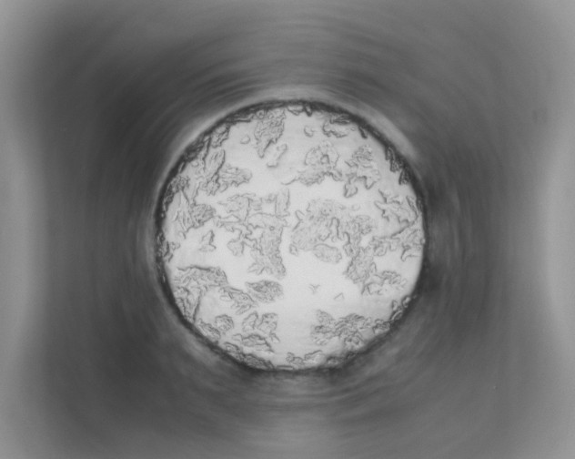 X0000111370895200907311031