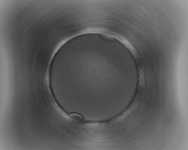 X0000111370896200907311031