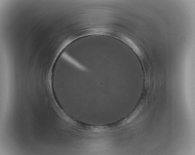 X0000111370899200907311031