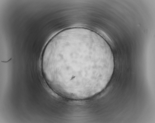 X0000111370900200907311031