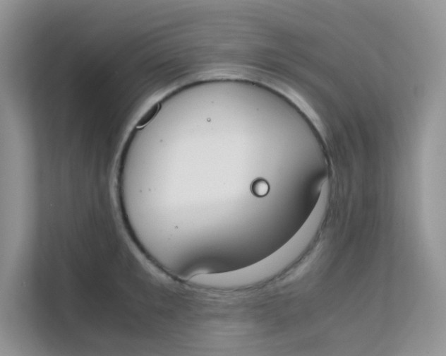 X0000111370901200907311030