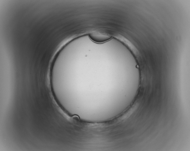 X0000111370902200907311030