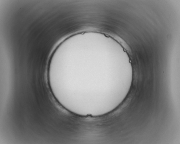 X0000111370904200907311030