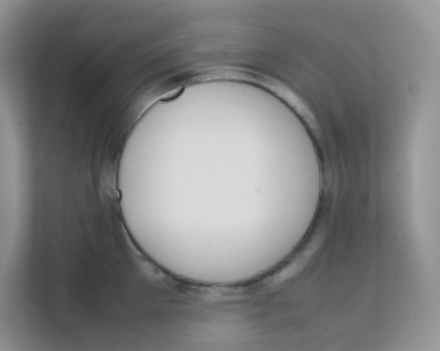 X0000111370905200907311030