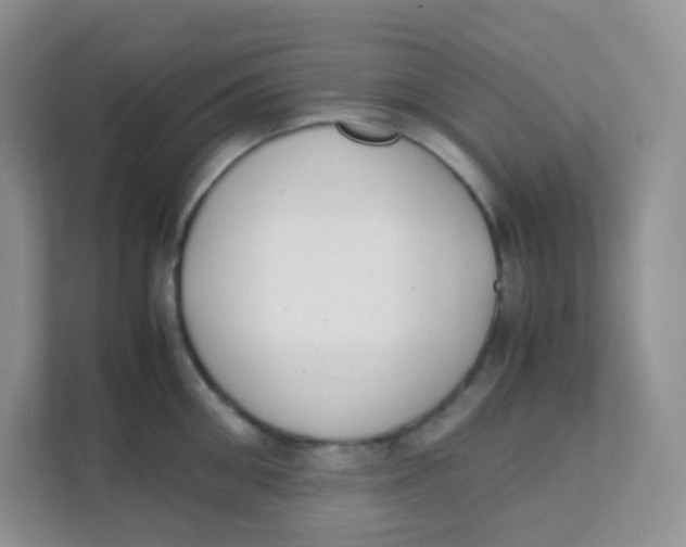 X0000111370906200907311030