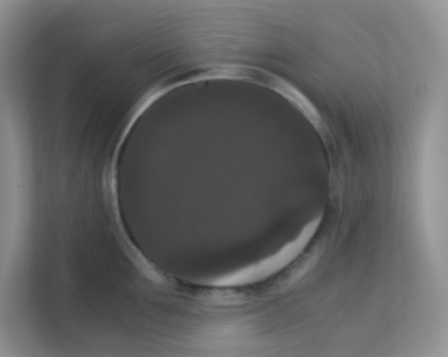 X0000111370907200907311030