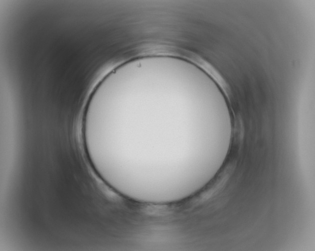 X0000111370909200907311030