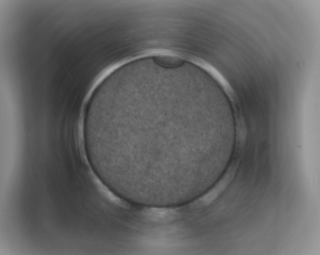 X0000111370910200907311030