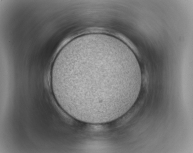 X0000111370911200907311030