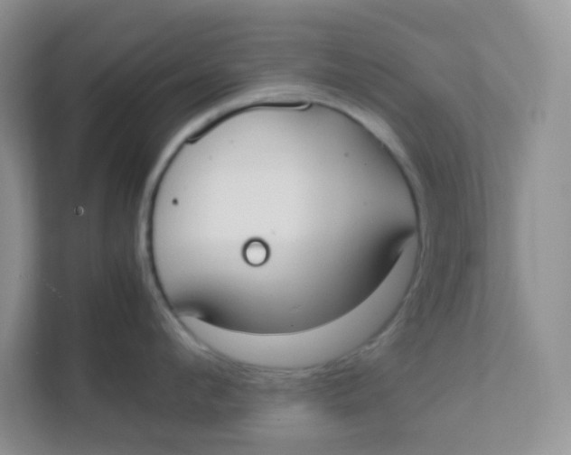 X0000111370912200907311030