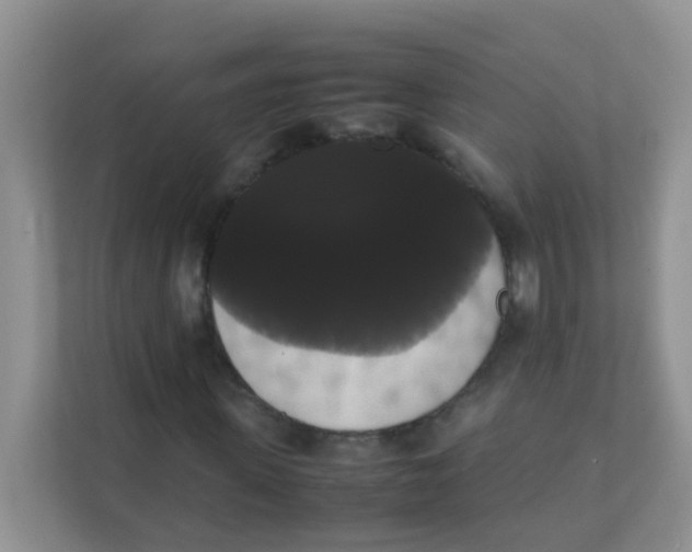 X0000111370915200907311030