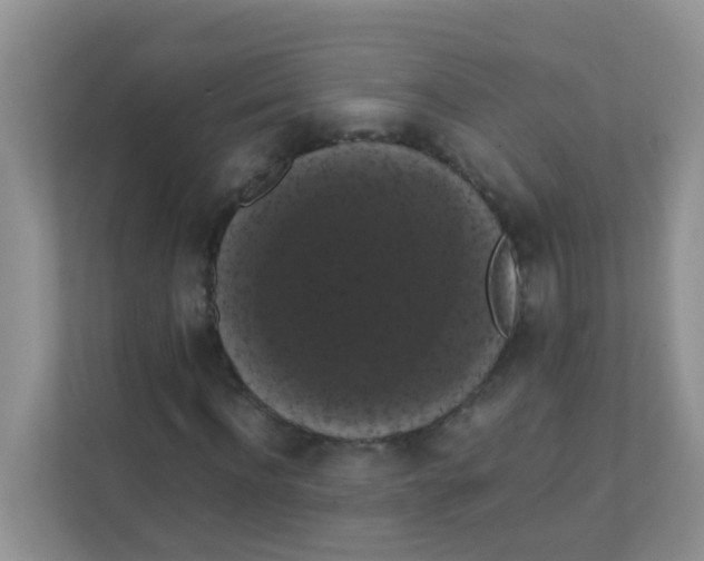 X0000111370916200907311030