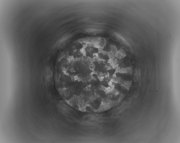 X0000111370917200907311030