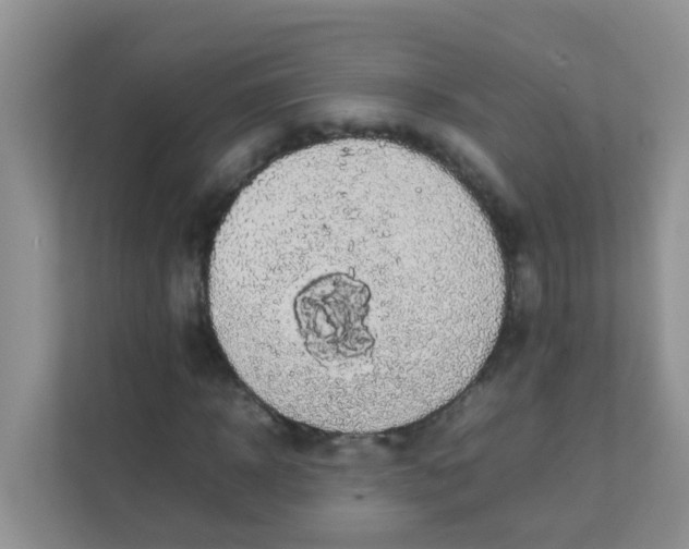 X0000111370918200907311030