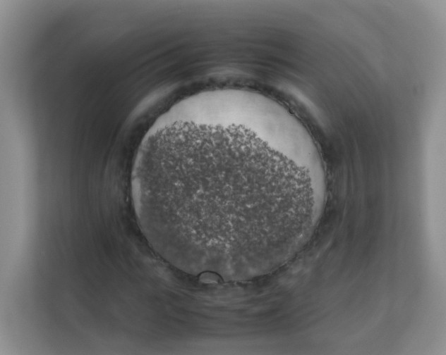 X0000111370919200907311030