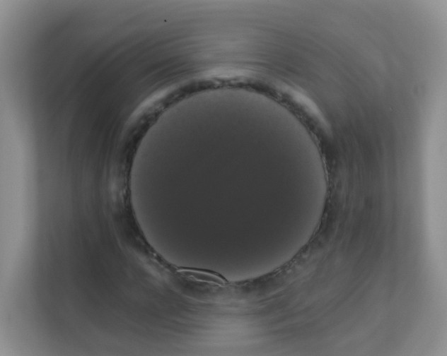 X0000111370920200907311030