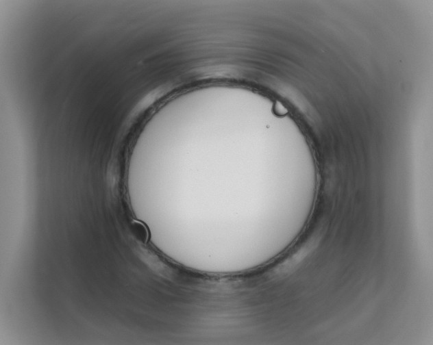 X0000111370922200907311030