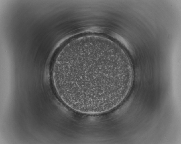 X0000111370923200907311030