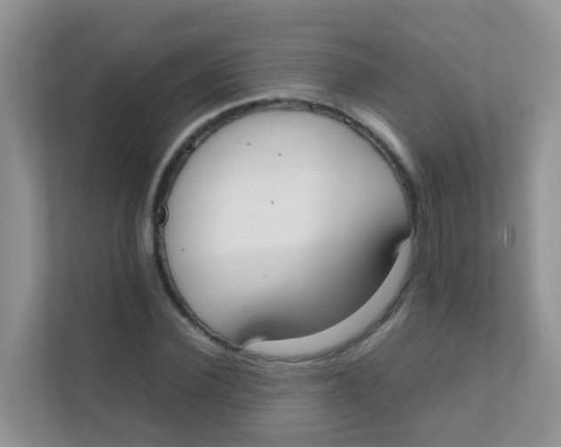 X0000111370924200907311030