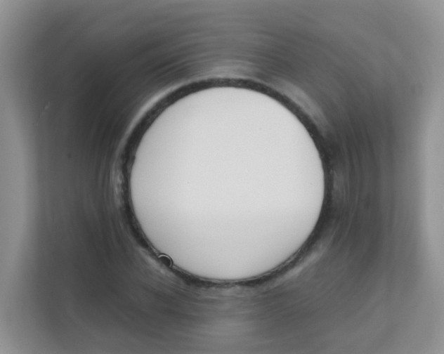 X0000111370926200907311030