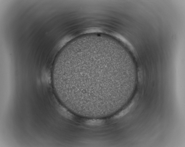 X0000111370929200907311030