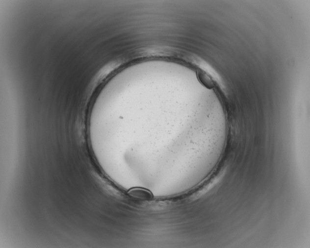 X0000111370930200907311030