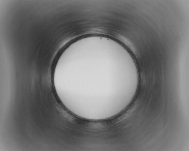 X0000111370931200907311030