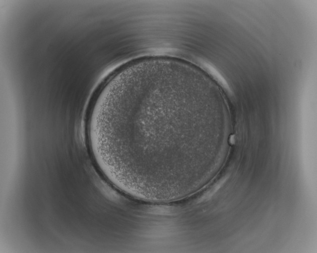 X0000111370932200907311030