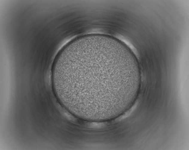 X0000111370933200907311030